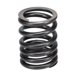 Valve Spring