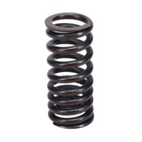 Valve Spring
