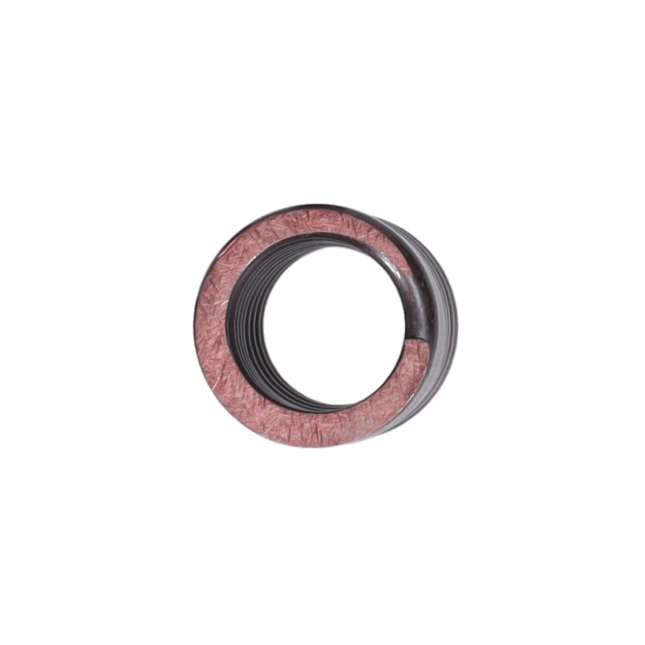 Valve Spring