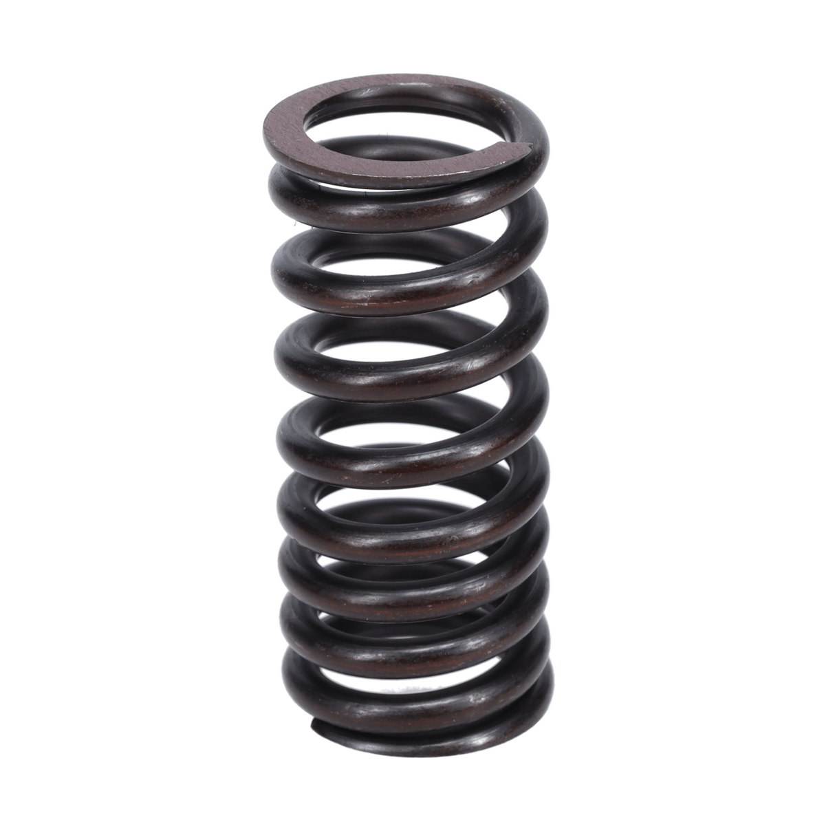 Valve Spring