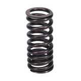 Valve Spring
