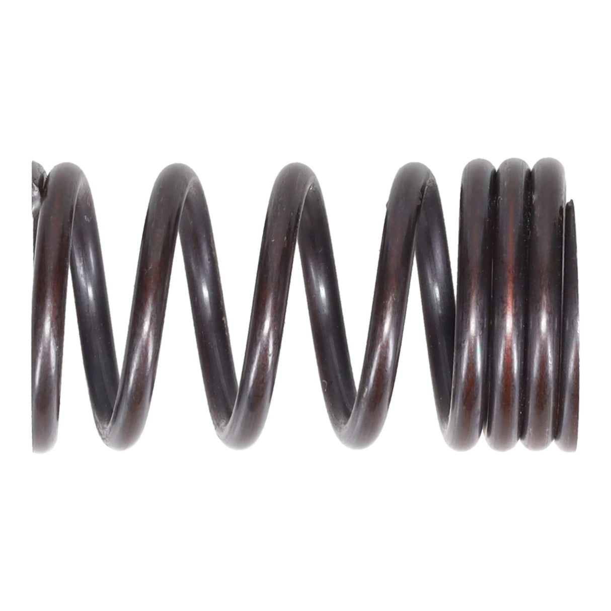 Valve Spring