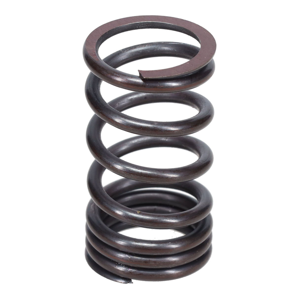 Valve Spring