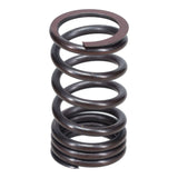 Valve Spring