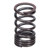 Valve Spring