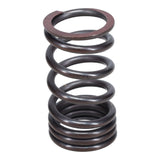 Valve Spring