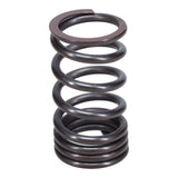 Valve Spring