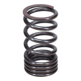 Valve Spring
