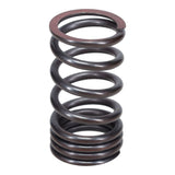 Valve Spring