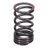 Valve Spring