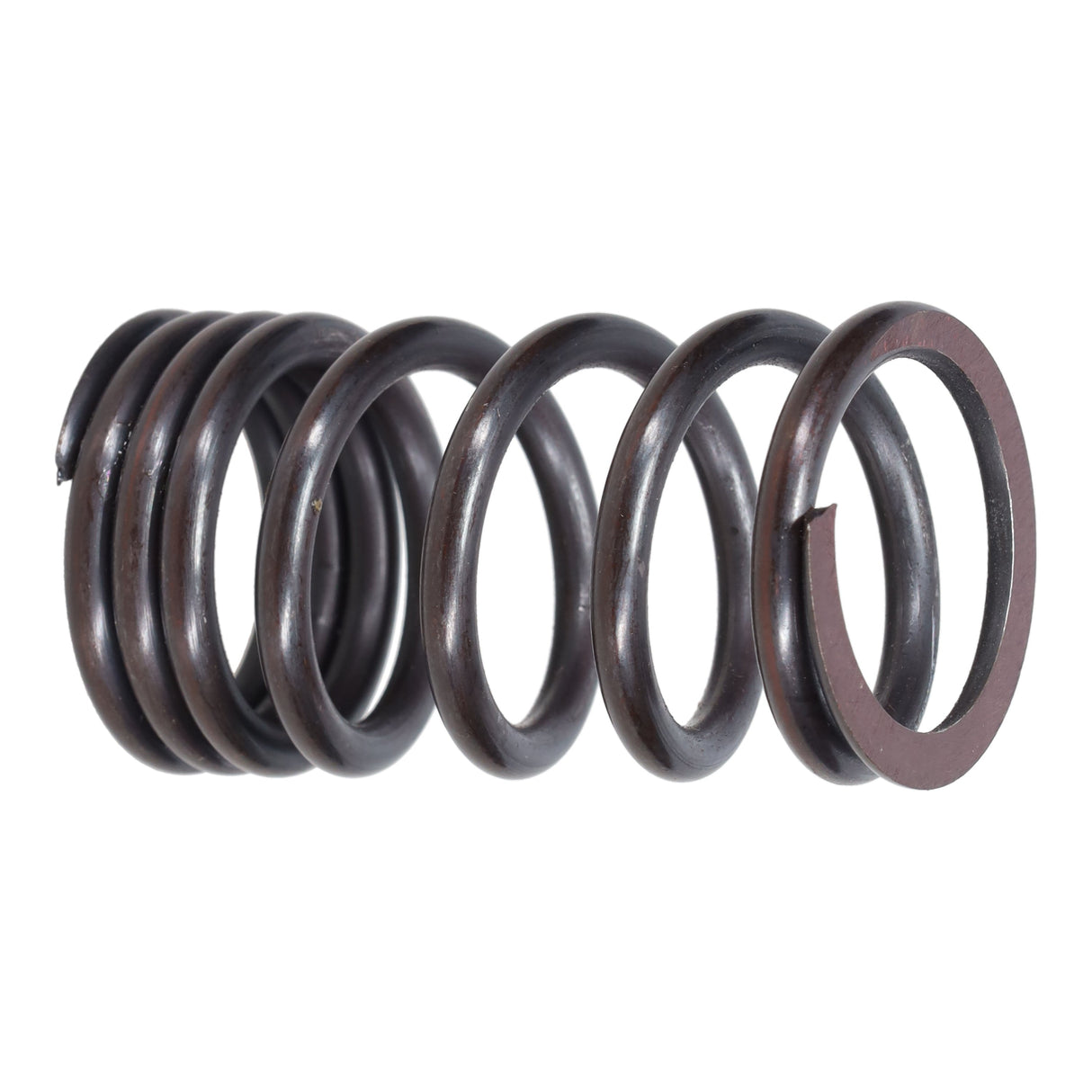 Valve Spring