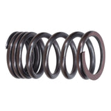 Valve Spring