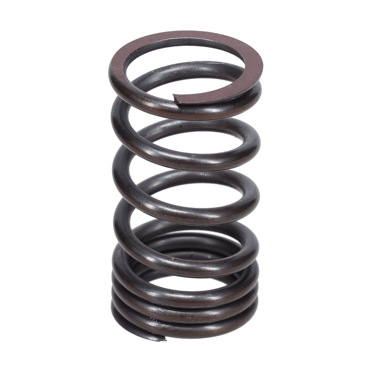 Valve Spring