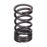 Valve Spring