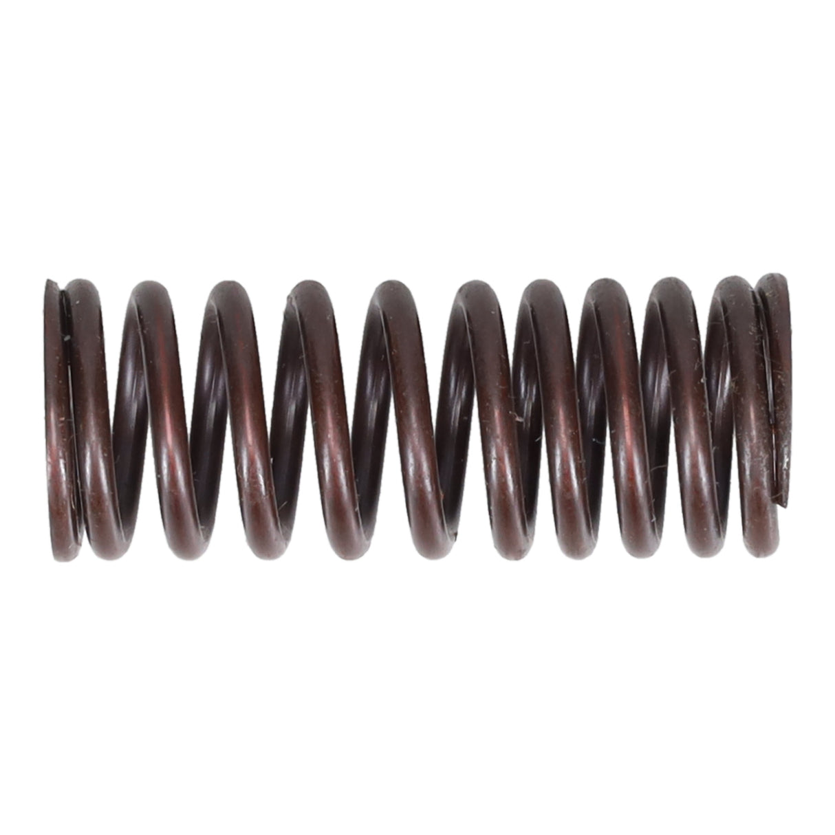 Valve Spring