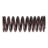 Valve Spring