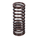 Valve Spring