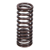 Valve Spring