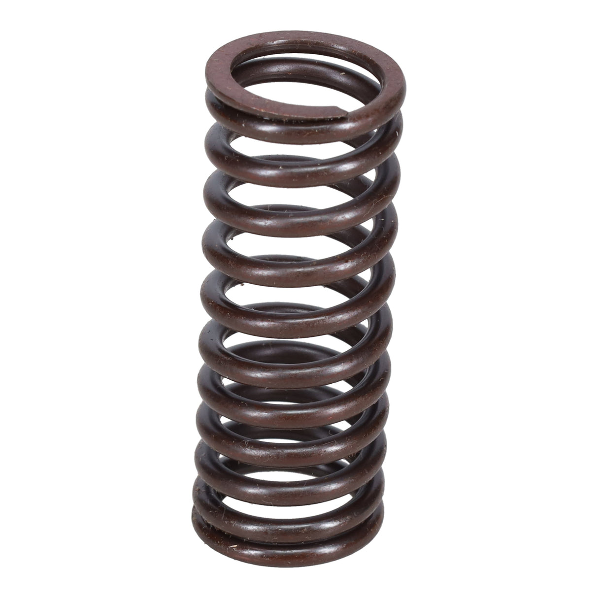 Valve Spring