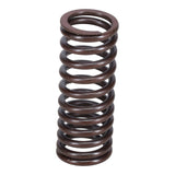 Valve Spring