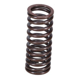Valve Spring