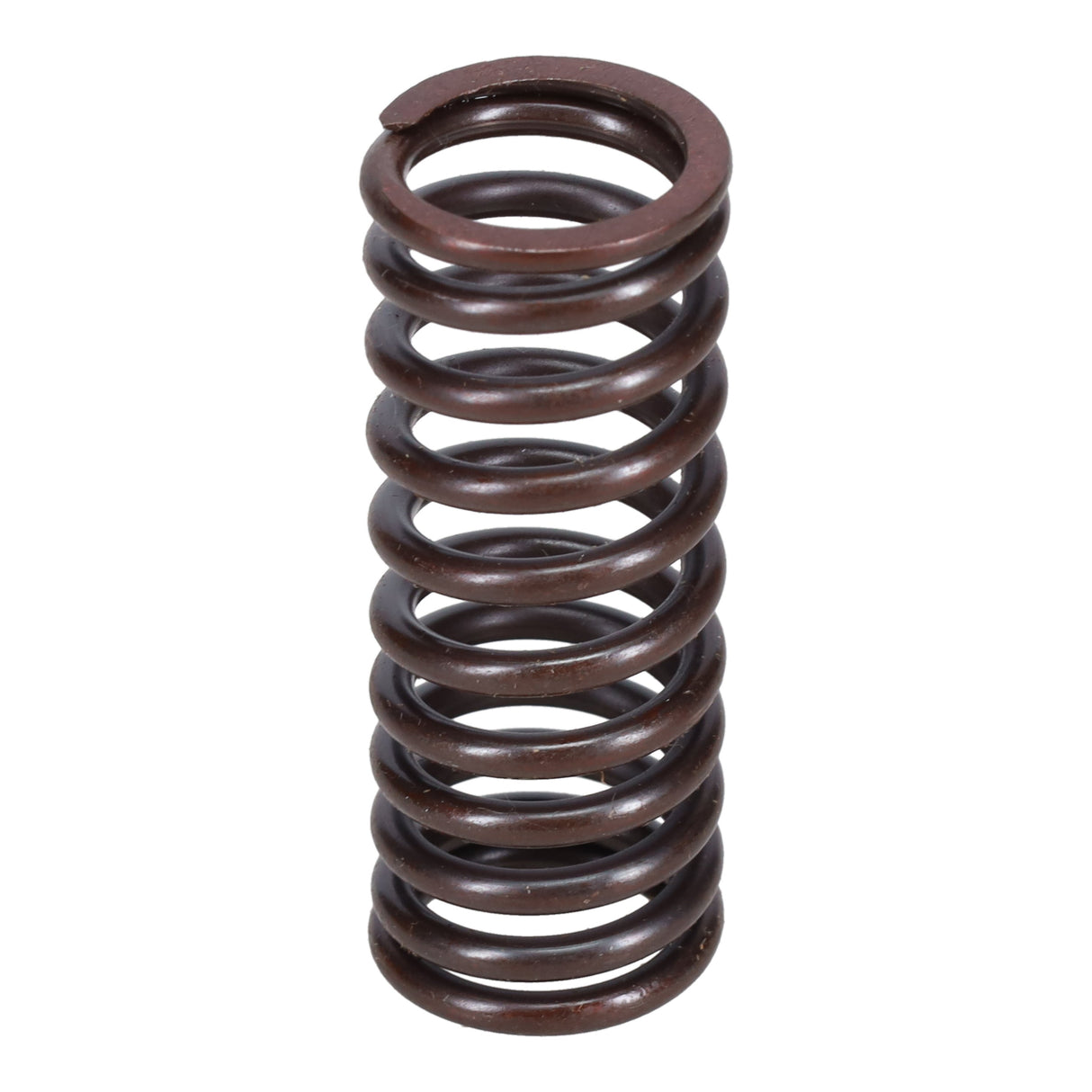 Valve Spring