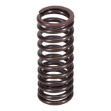 Valve Spring