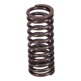 Valve Spring