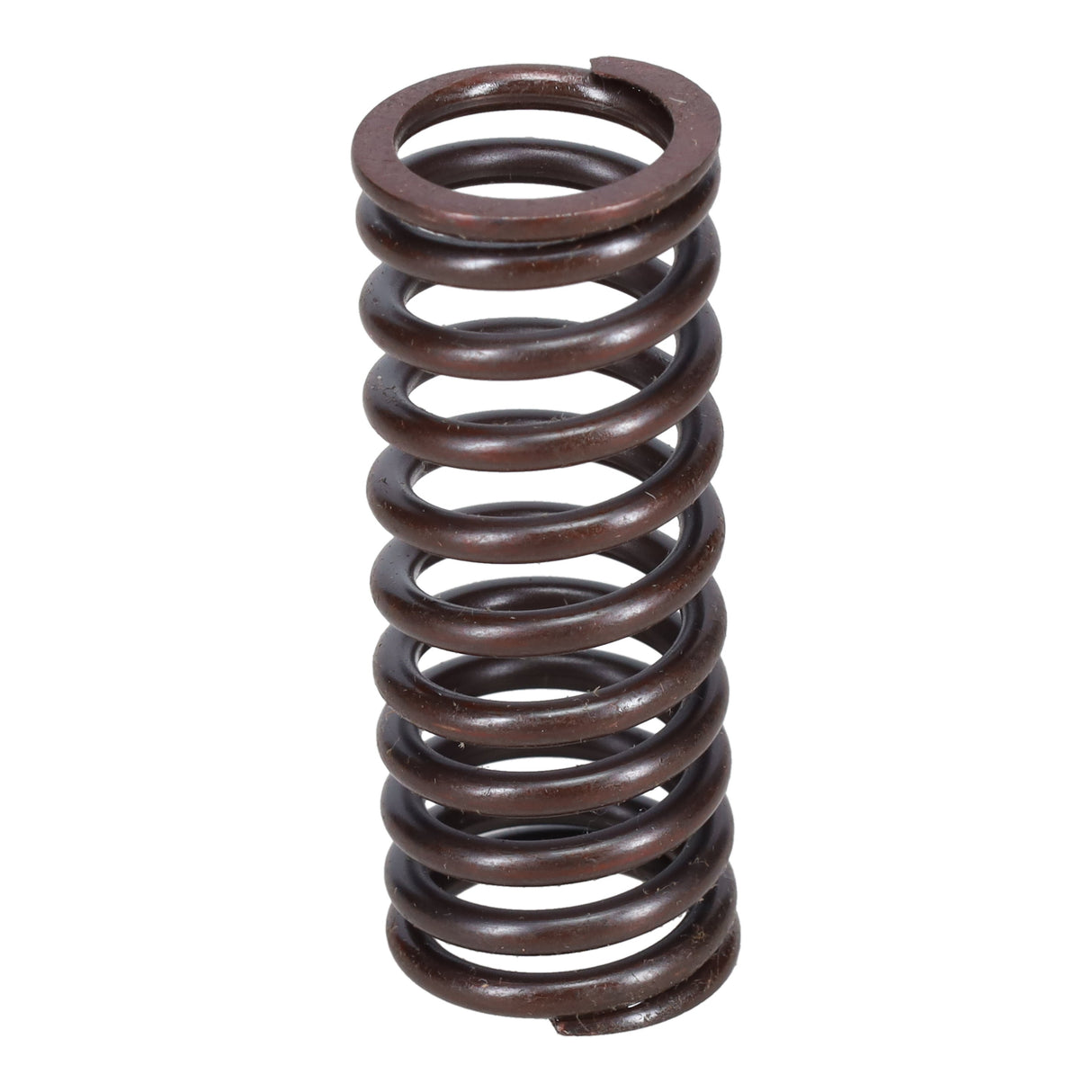 Valve Spring