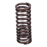 Valve Spring