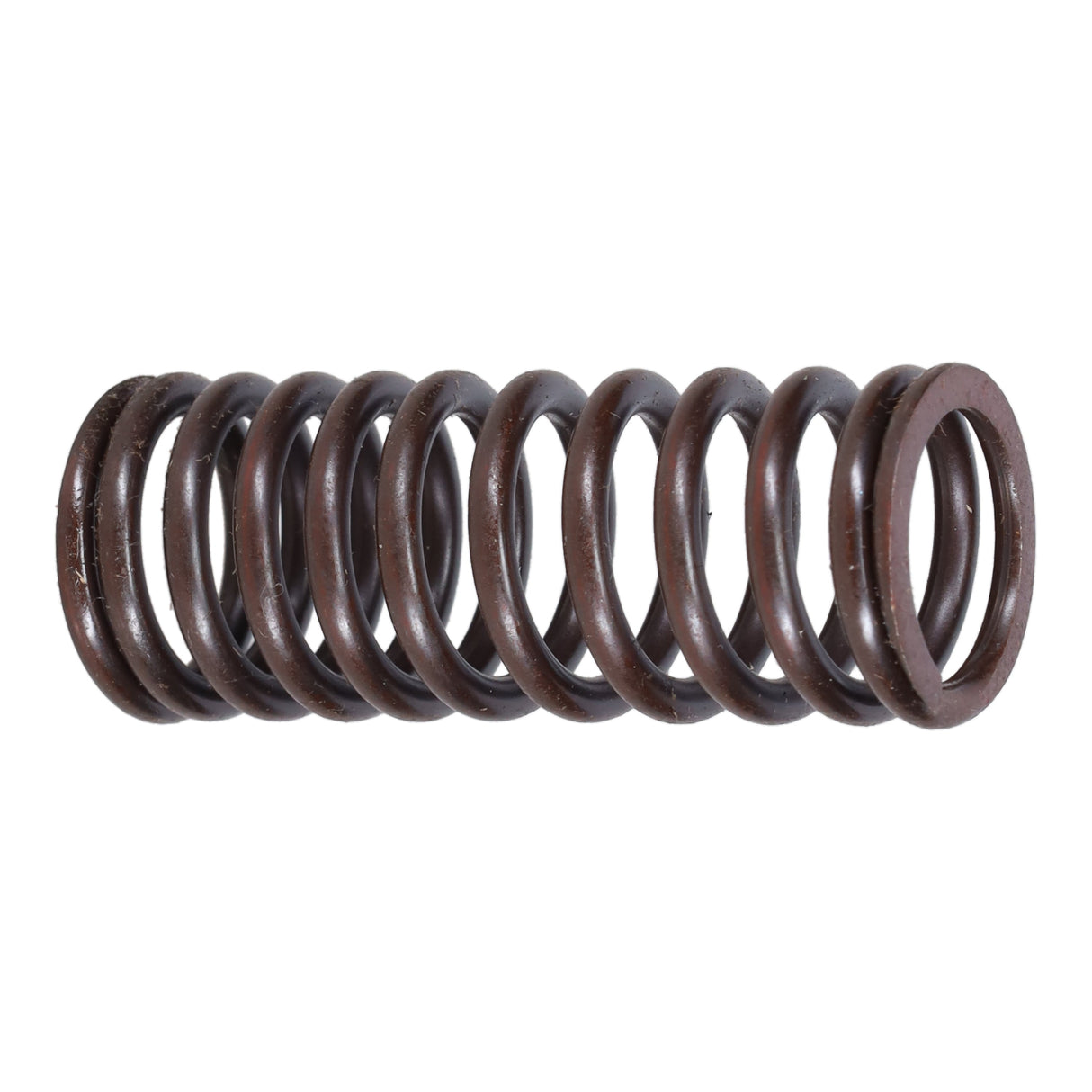 Valve Spring
