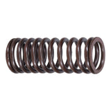 Valve Spring