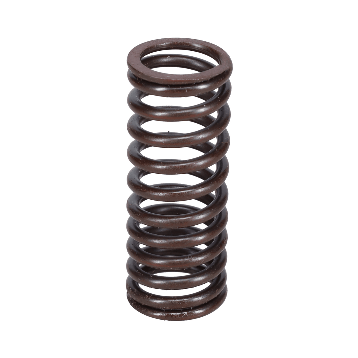 Valve Spring