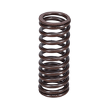 Valve Spring