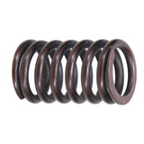 Valve Spring