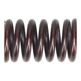 Valve Spring