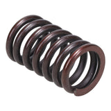 Valve Spring