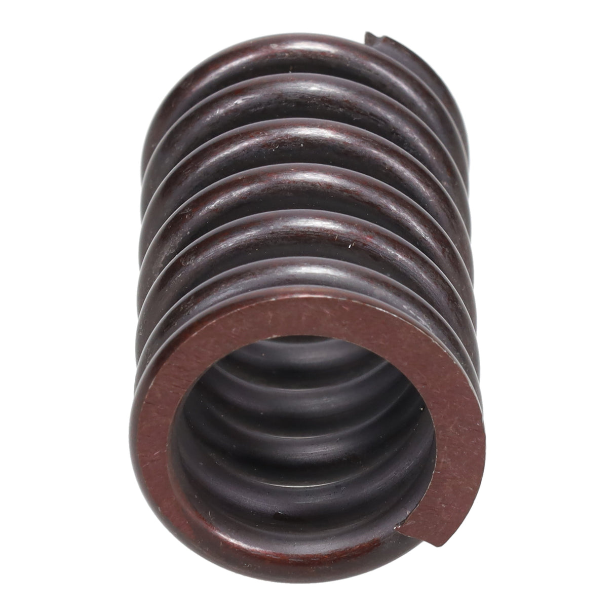 Valve Spring