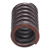 Valve Spring