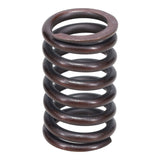 Valve Spring