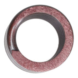Valve Spring