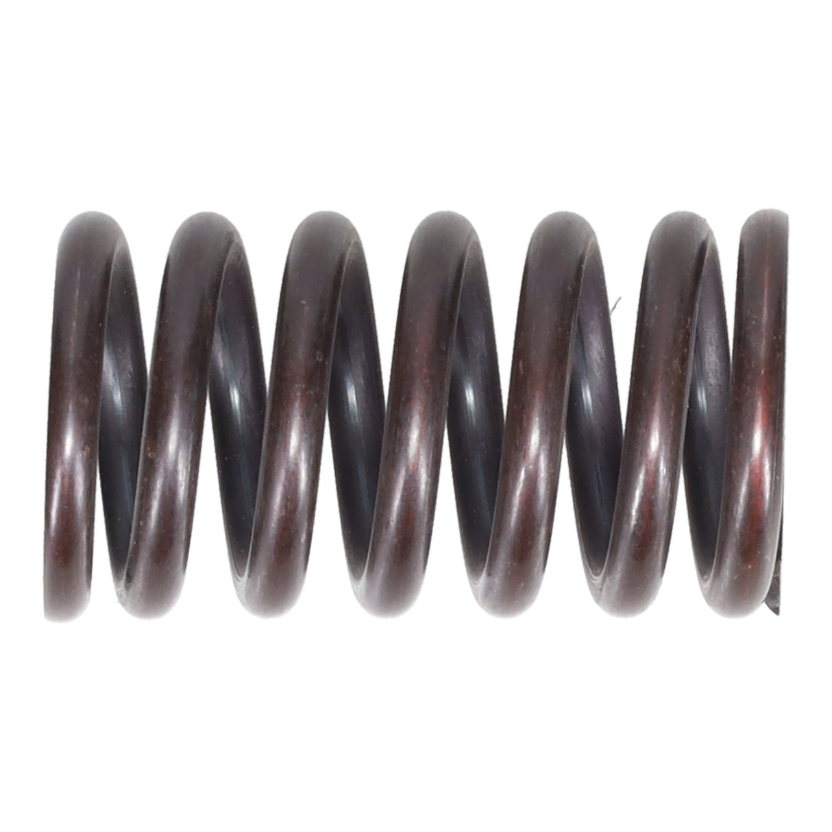 Valve Spring