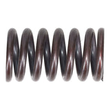 Valve Spring
