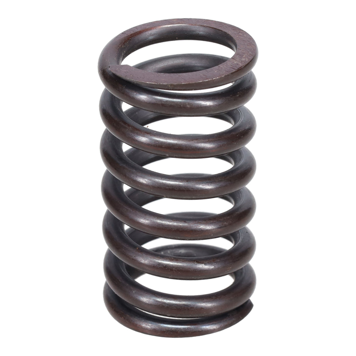 Valve Spring