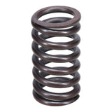 Valve Spring