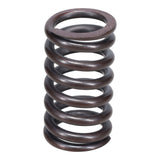 Valve Spring