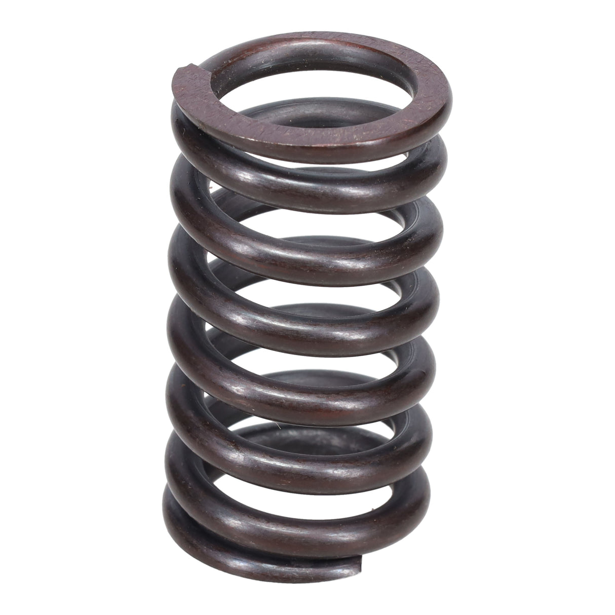 Valve Spring