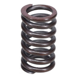 Valve Spring