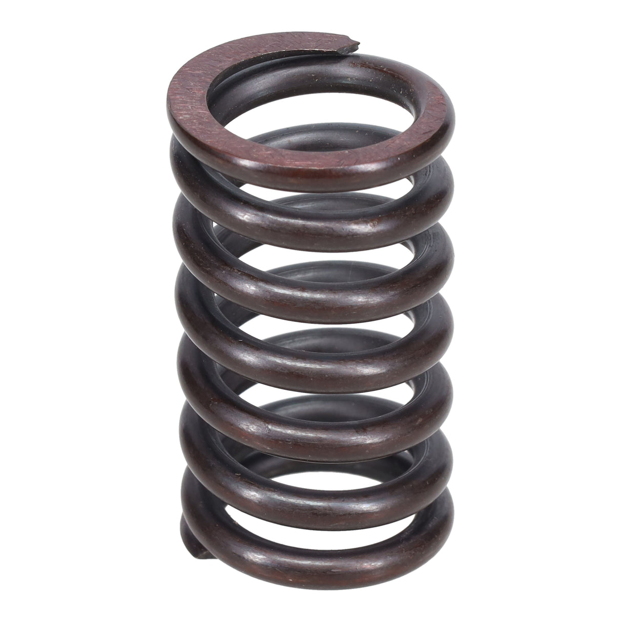 Valve Spring