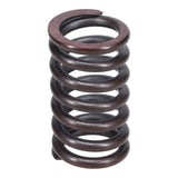 Valve Spring